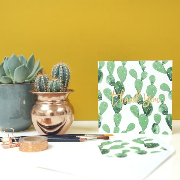 Thank you box 'cactus'