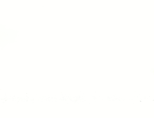 Kikkerland dieren multi-tool