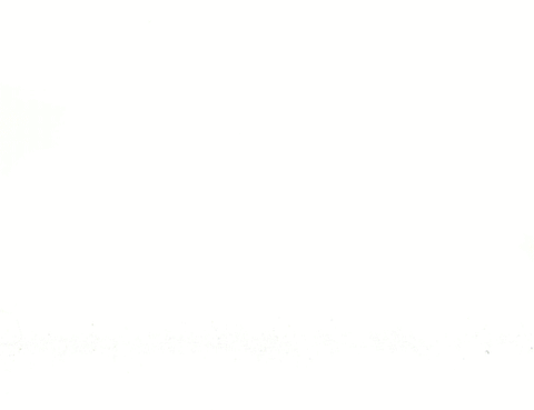 Kikkerland dieren multi-tool