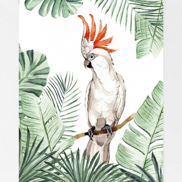 Creative lab amsterdam papegaai poster