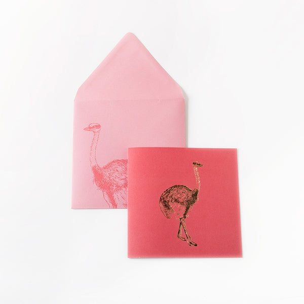 creative lab amsterdam roze struisvogel