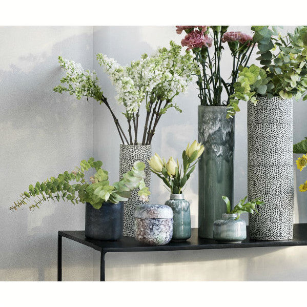 vaas valencia H. skjalm P.