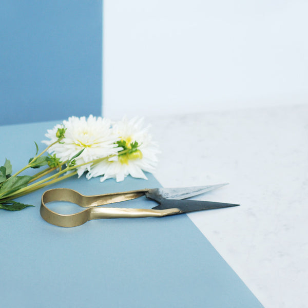 tuinschaar house doctor