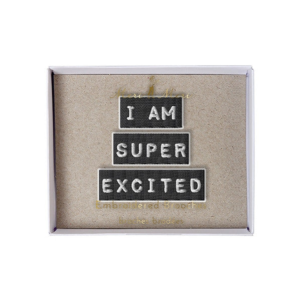 super excited brooch meri meri