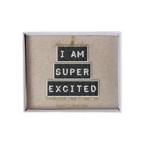 super excited brooch meri meri