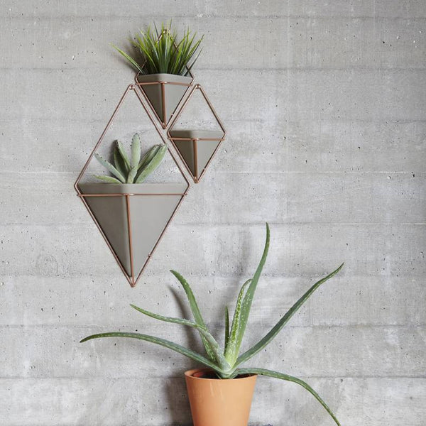 umbra trigg muurpotjes brons